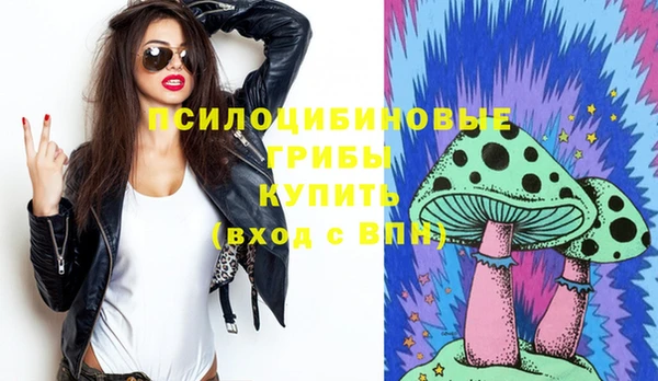 МДПВ Гусь-Хрустальный
