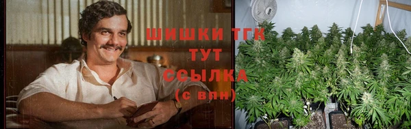 прущие грибы Горнозаводск